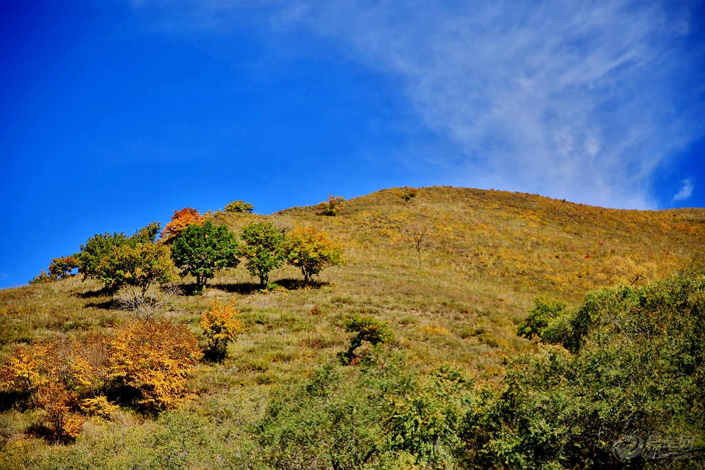 河北坝上四县gdp_河北坝上