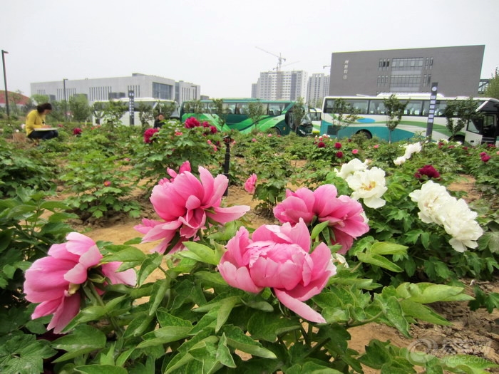 8bca8ceed6d947498ef148c0d1cfc61d.jpg