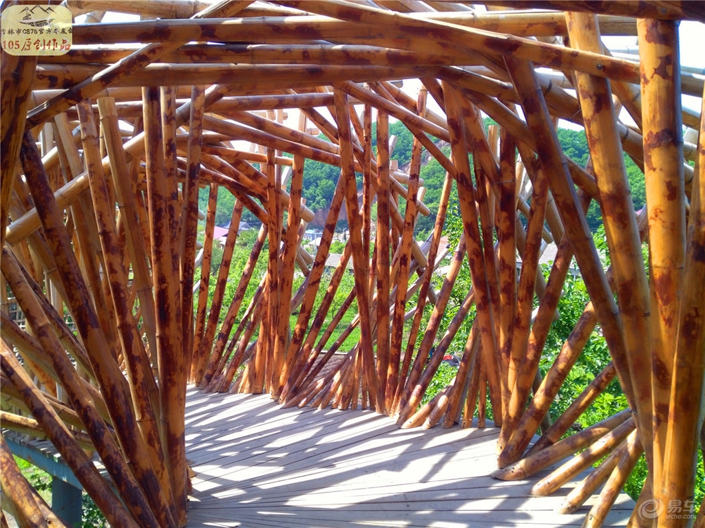 树上小木屋多少钱 365fa4192ff548f2abae8a459d3cd066.jpg