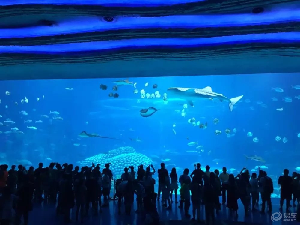 海洋公园哪个比较值得去 4d915212aadf4beeb176981392fc7826.jpeg