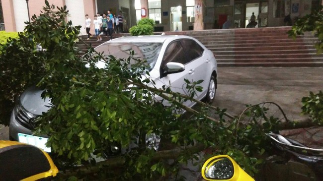 【很受伤,被强对流天气一夜袭击造成的,玻璃就