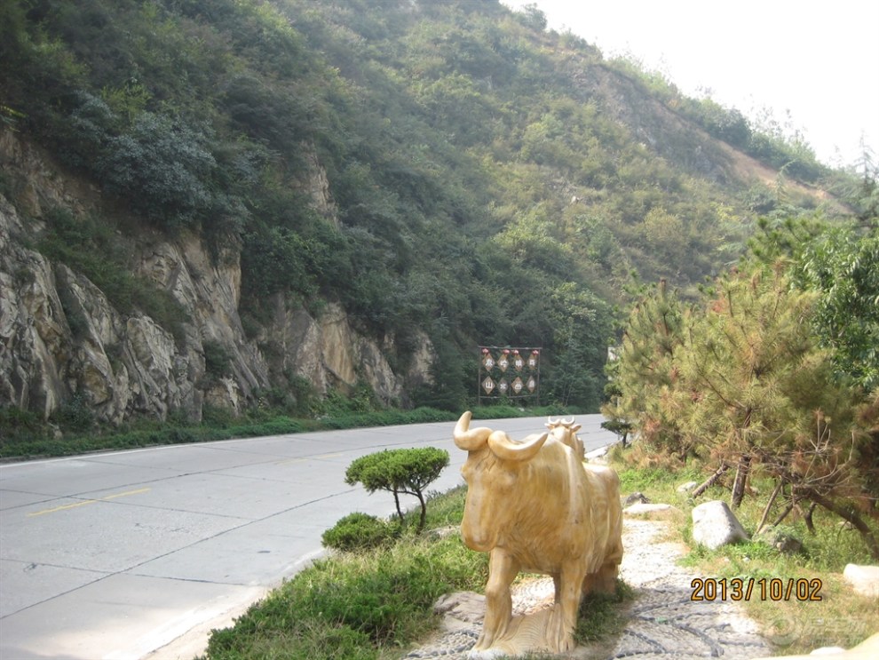 【原创首发】姜眉核桃县界随拍山西公路v核桃图片