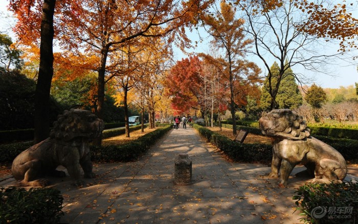 【分享下我最喜欢最满意的秋景作业】_广东车