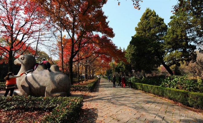 【分享下我最喜欢最满意的秋景作业】_广东车