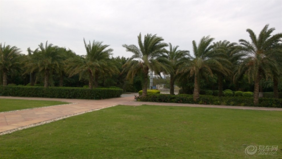 【【首发原创】单位组织去三亚旅游之四 海棠