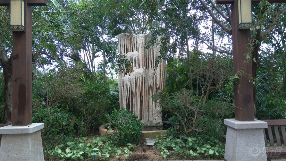 【【首发原创】单位组织去三亚旅游之四 海棠