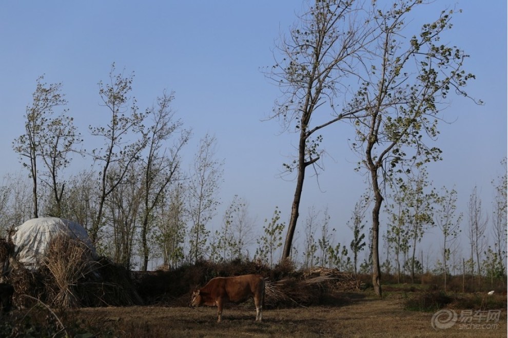 【【寻路传奇NO.10】人间自有真情在,襄阳车
