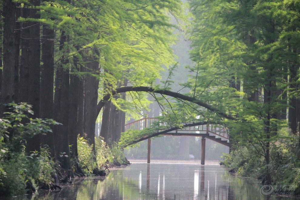 【【精华帖争霸赛】感谢一路上有你--我的201