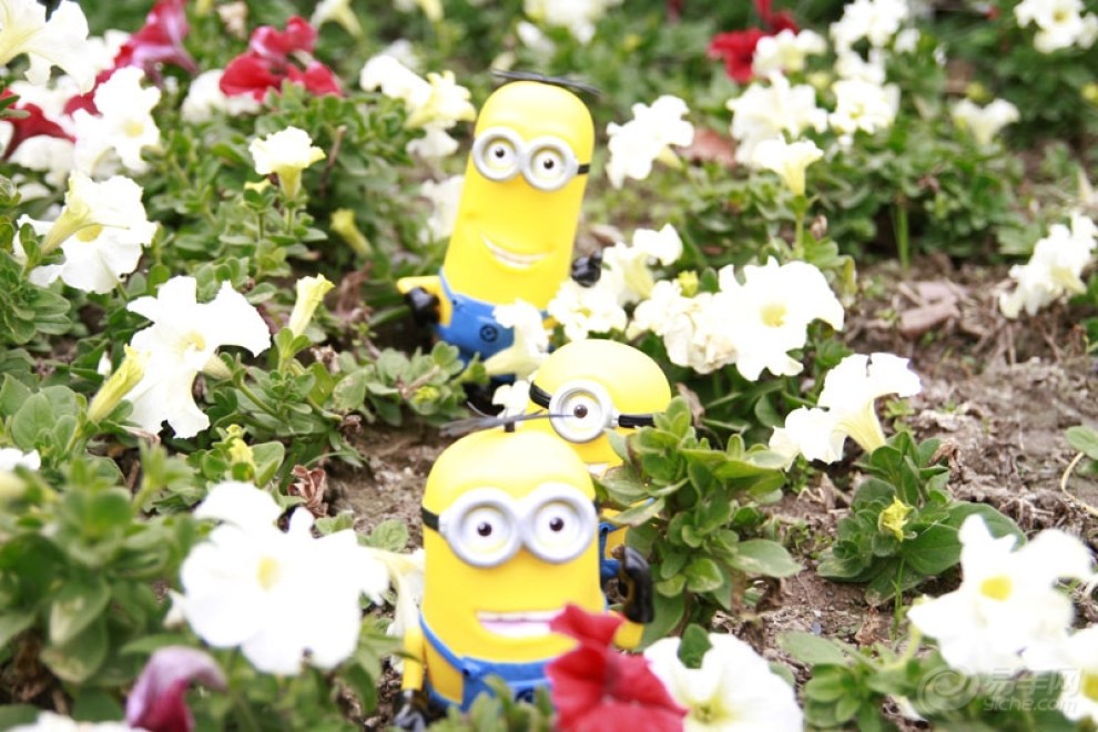 【【转】小黄人番外篇,昂科拉大作战】_昂科拉