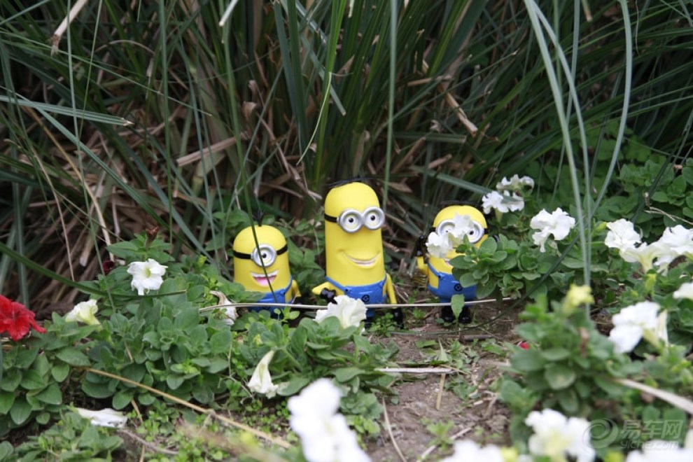 【【转】小黄人番外篇,昂科拉大作战】_昂科拉