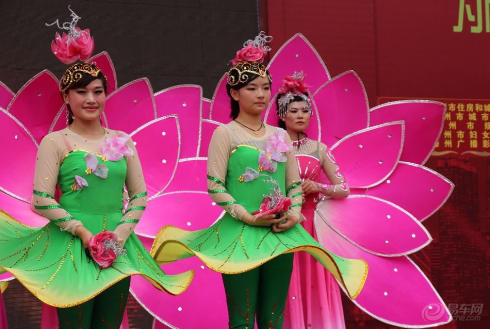 【原创首发】荷花舞