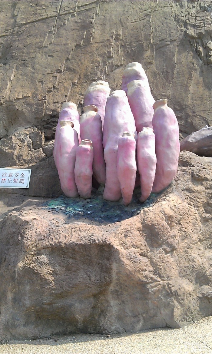 【游海之韵公园】_自驾游论坛