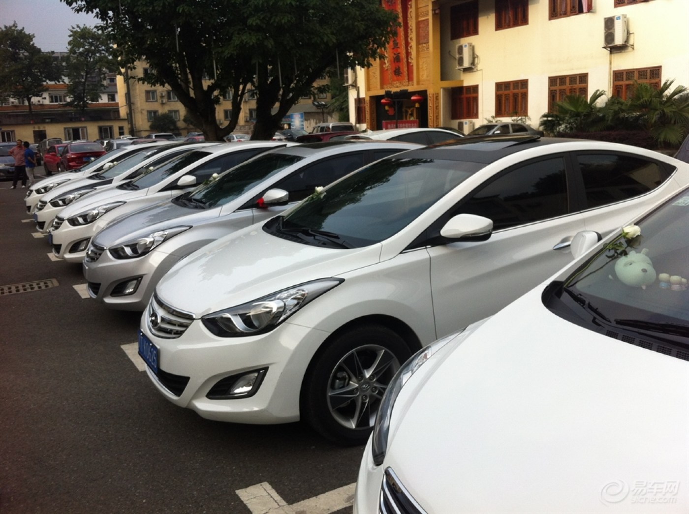 四川雅安朗动车友会七夕单身派对福利,补交作