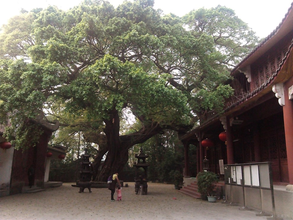 【周末游广东英德丰盛古寺】_风云2论坛图片