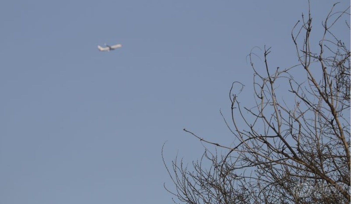 落地请开手机!爱心接力!期待大家的跟帖.