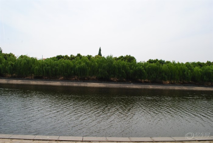 【健身走起河畔南端东岸观景道清风吹起垂柳依
