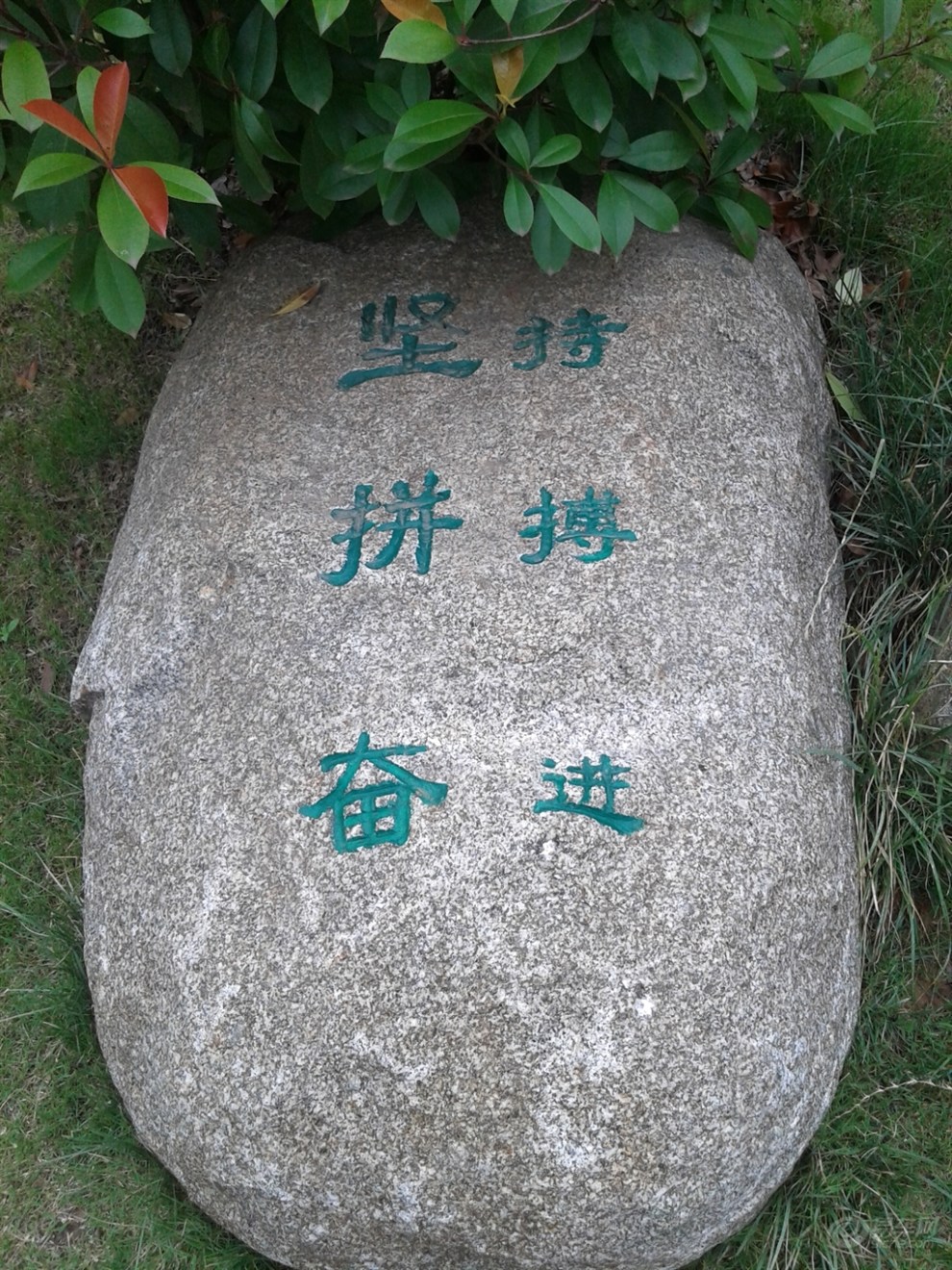 【【每日图鉴】坚持、拼博、奋进!】_安徽论坛