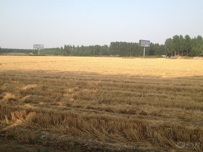 【每日图鉴--收获后的土地】_宁夏车友会