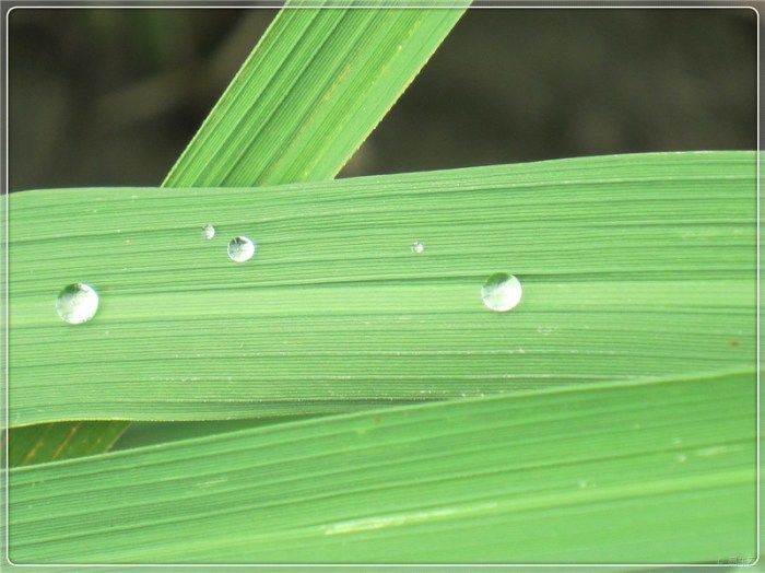【水珠!】_安徽车友会