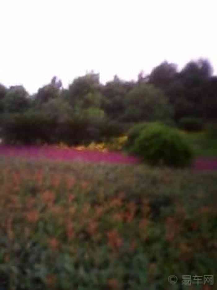 【宁远县人民政府】湖南论坛论坛