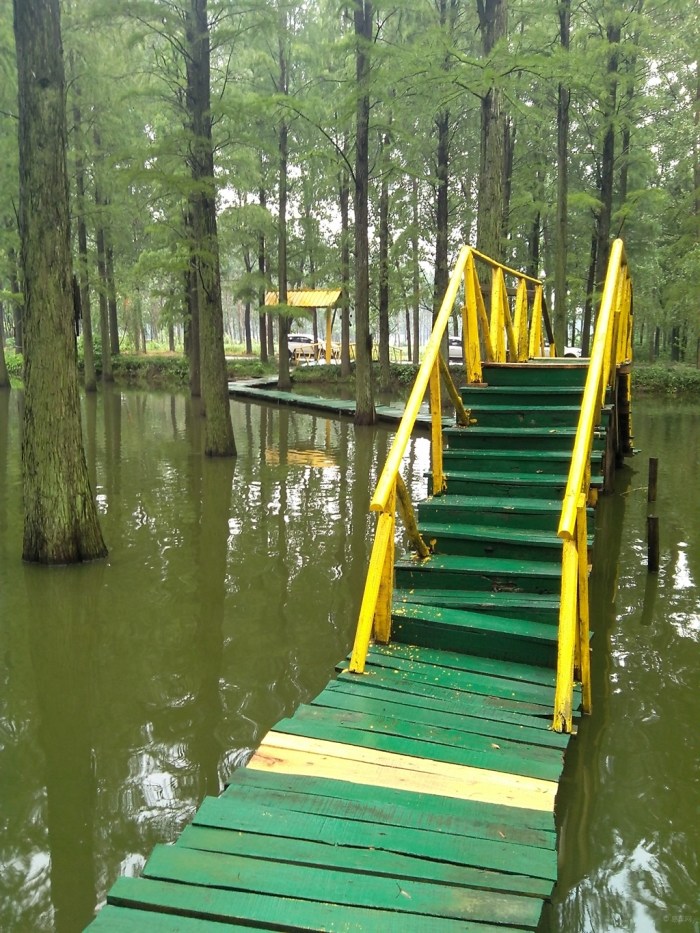 渌洋湖湿地公园一日游