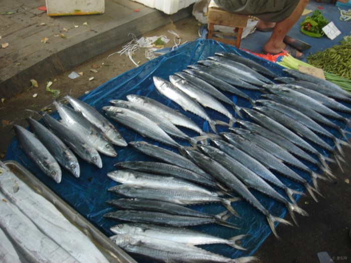 【【快乐厨艺第三季】酱炖燕霸鱼(荤)】_美食