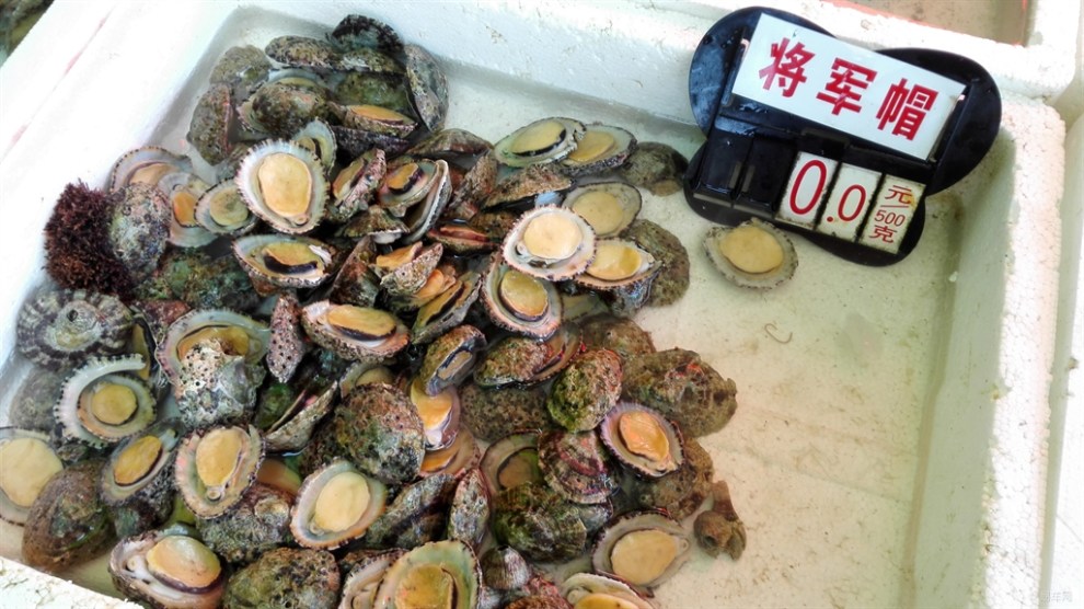 【[原创]在外伶仃岛吃海鲜】_湖南论坛图片集