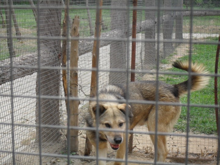 【【原创首发】日照海曲公园游记】_长城C30