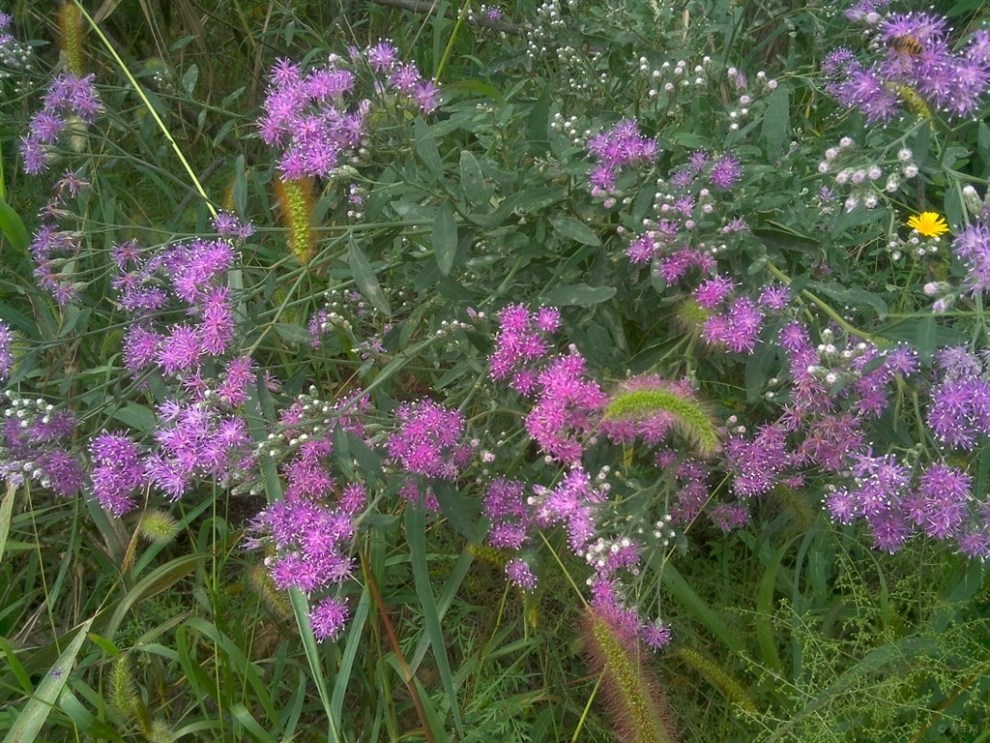 【延安户外;】_陕西论坛图片集锦_汽车论坛-易