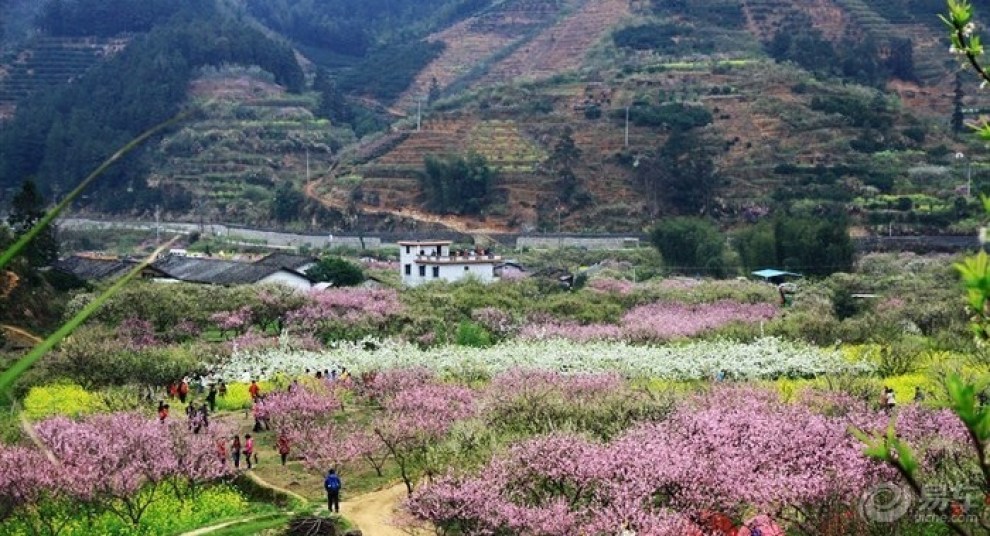 【水果之乡九峰山】_逍客论坛图片集锦
