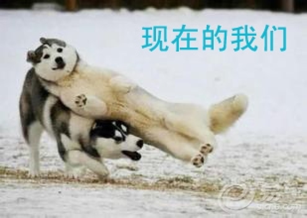 【我在北方城市里冻成狗,你在广州车展里艳阳