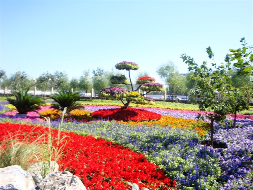 游长阳兰花文化休闲公园赏景观花