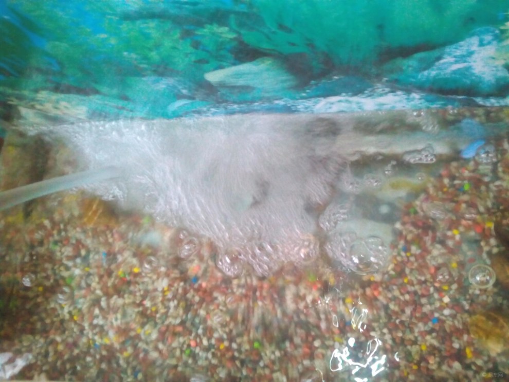 【鱼缸浑水】_长城C30论坛图片集锦_汽车论坛