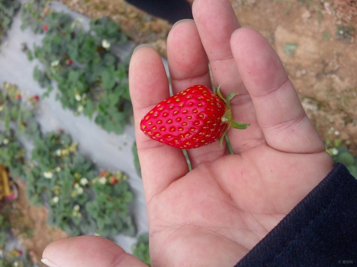 虎3入手一个月真实感受