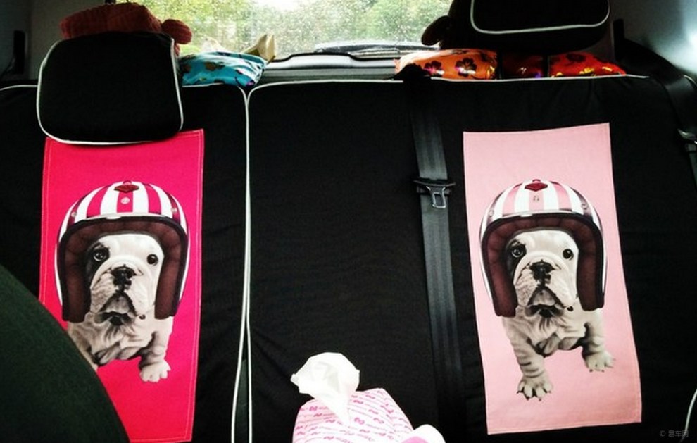 【我家有一只河东狮之小棕狮传奇 完美大片来