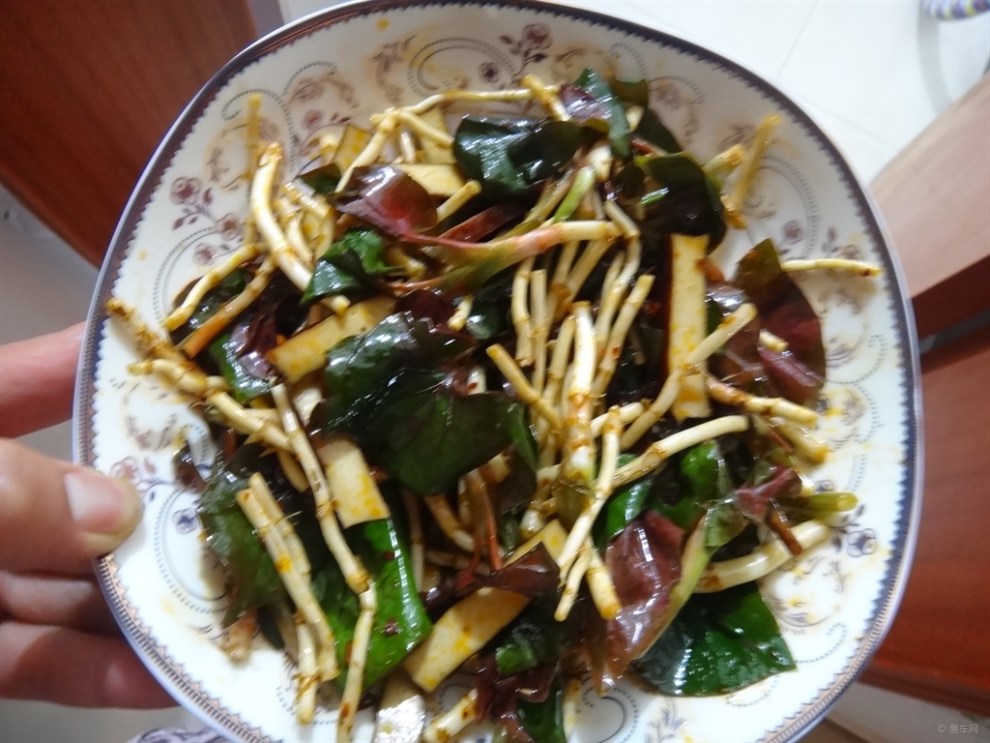 【【家常美食】扎耳根凉拌豆腐干!】_四川论坛