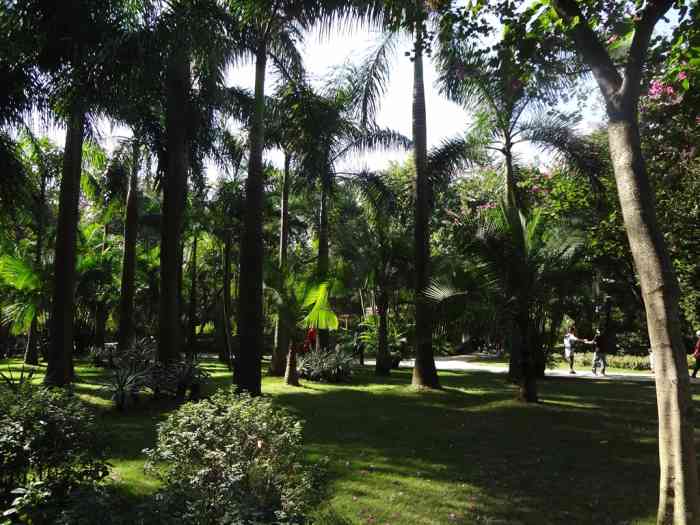 【【街拍】广州白云区雕塑公园】青海论坛论坛