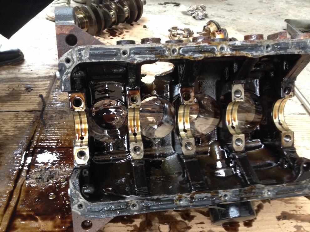 校草绑后被废阳爆缸