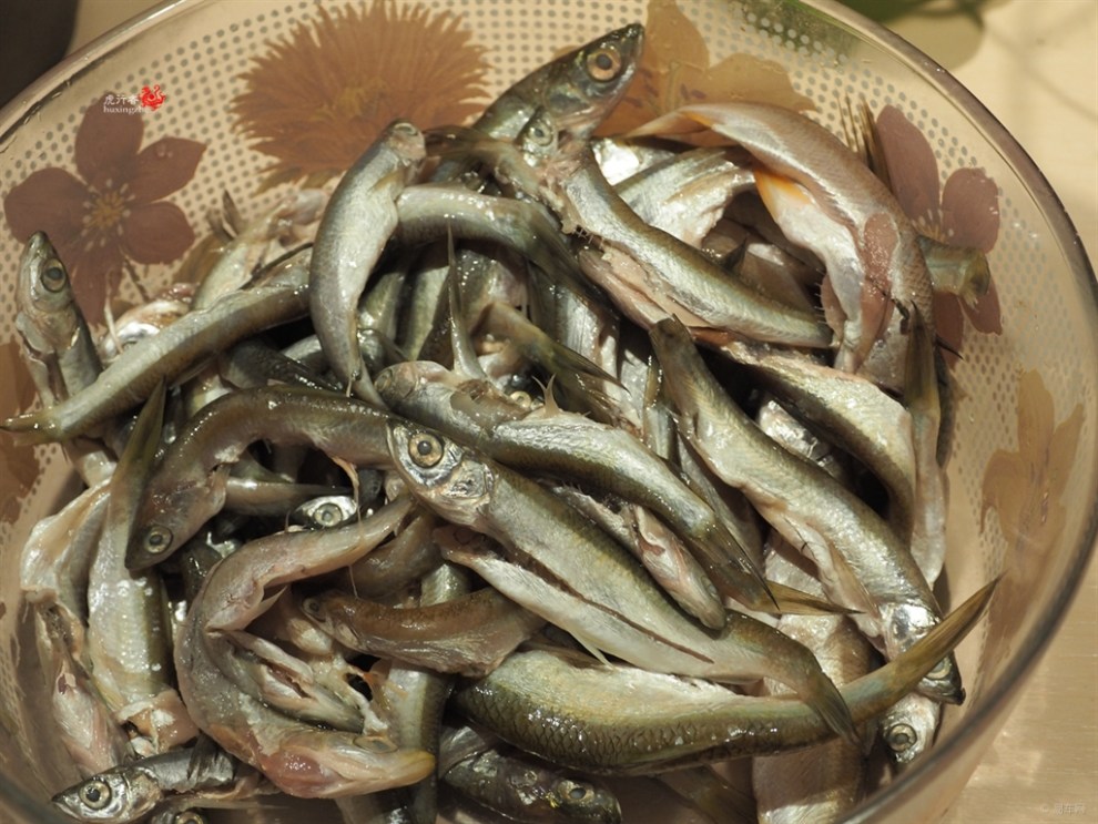 【【食尚玩家第三季】油炸小鱼儿(私家菜)】_