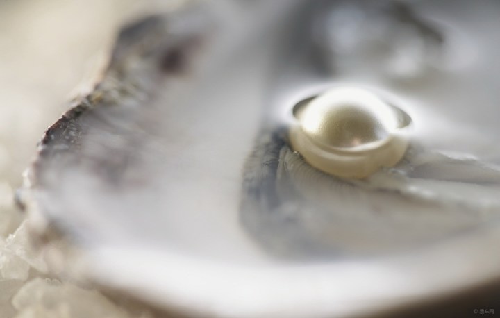 【【青海六野俱乐部 生活小沫沫】如何选择海