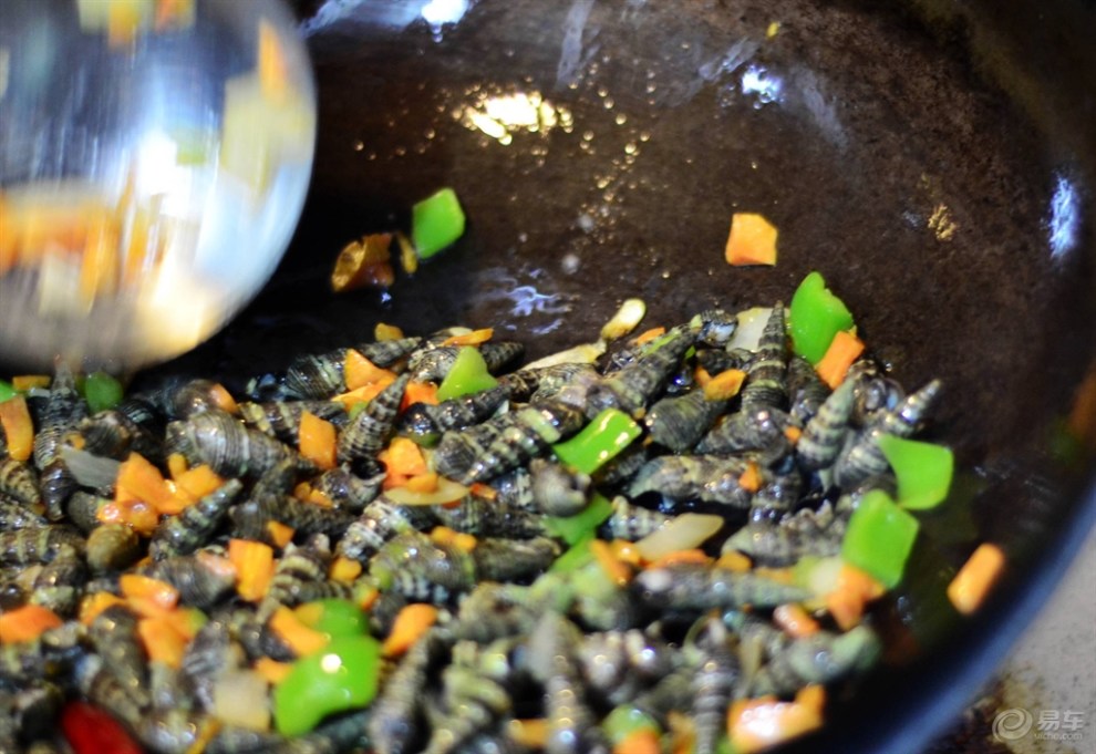 【随枫而去家的密制炒海锥】_宁夏论坛图片集