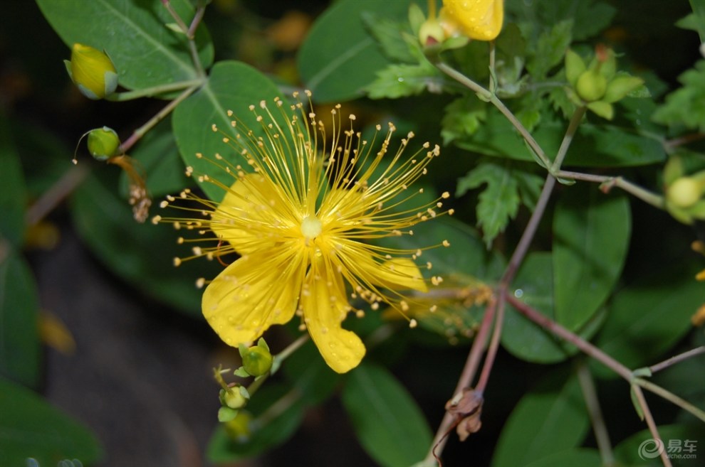 【高铁出游的吃处住处买处】_海马骑士论坛图