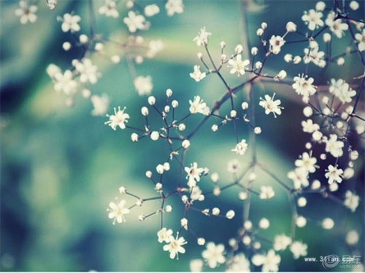 【挣钱不易,车主必学维修保养小知识】_科帕奇