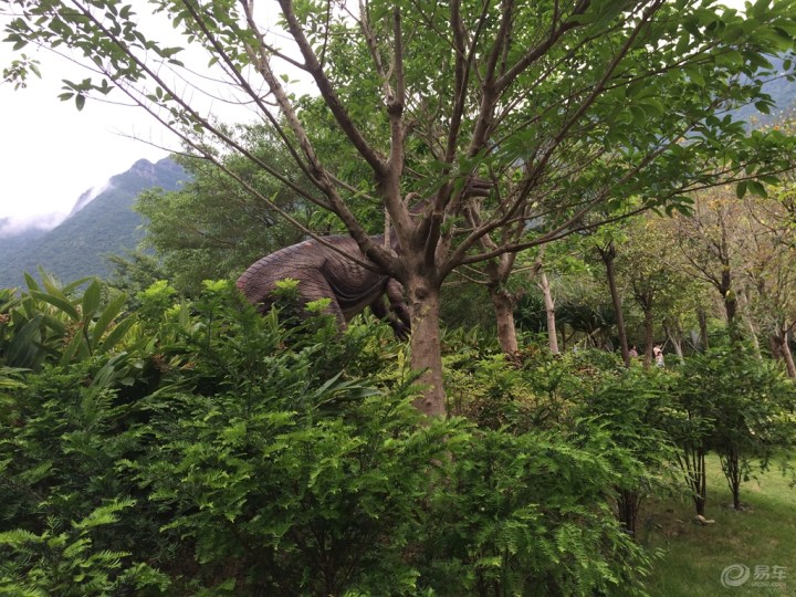 【深圳地质公园博物馆(恐龙时代)】_风云2论坛