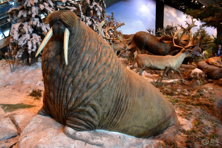 【端午节快乐】神奇的科普知识殿堂