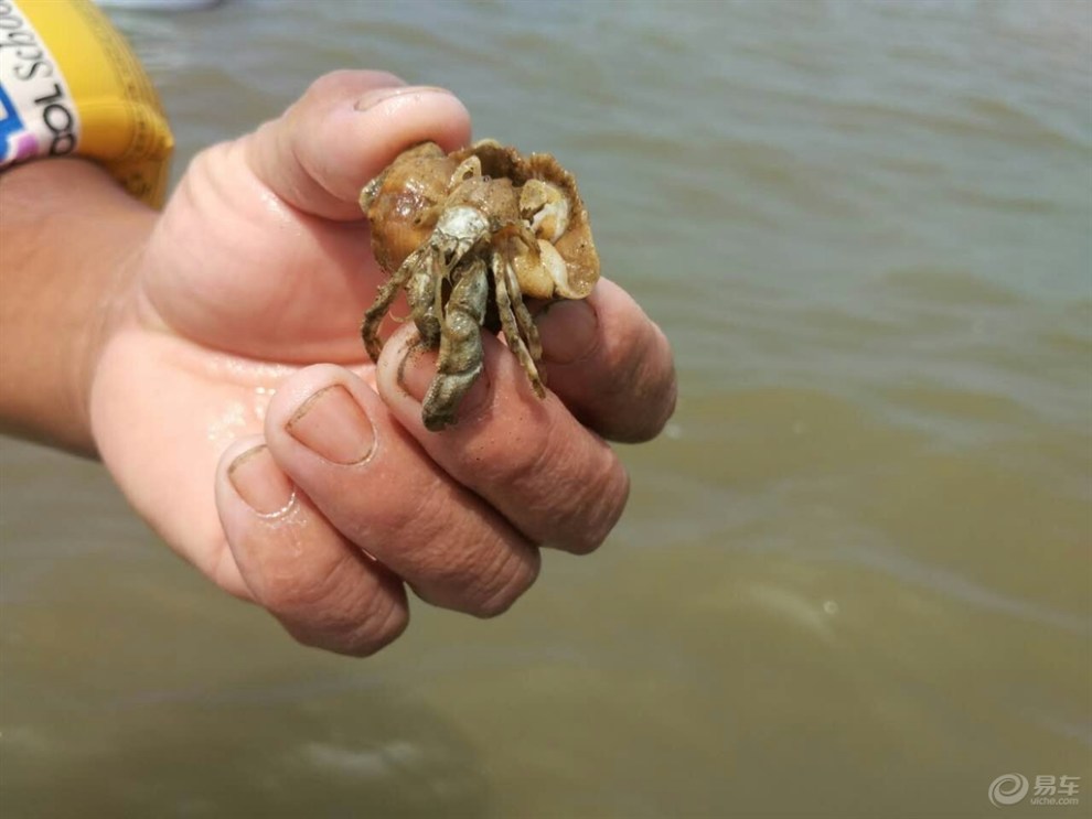 【【易大奖,吉八月】酷热天气游北海 畅游大海