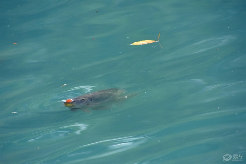 【自驾游南京珍珠泉风景区】_明锐论坛图片集