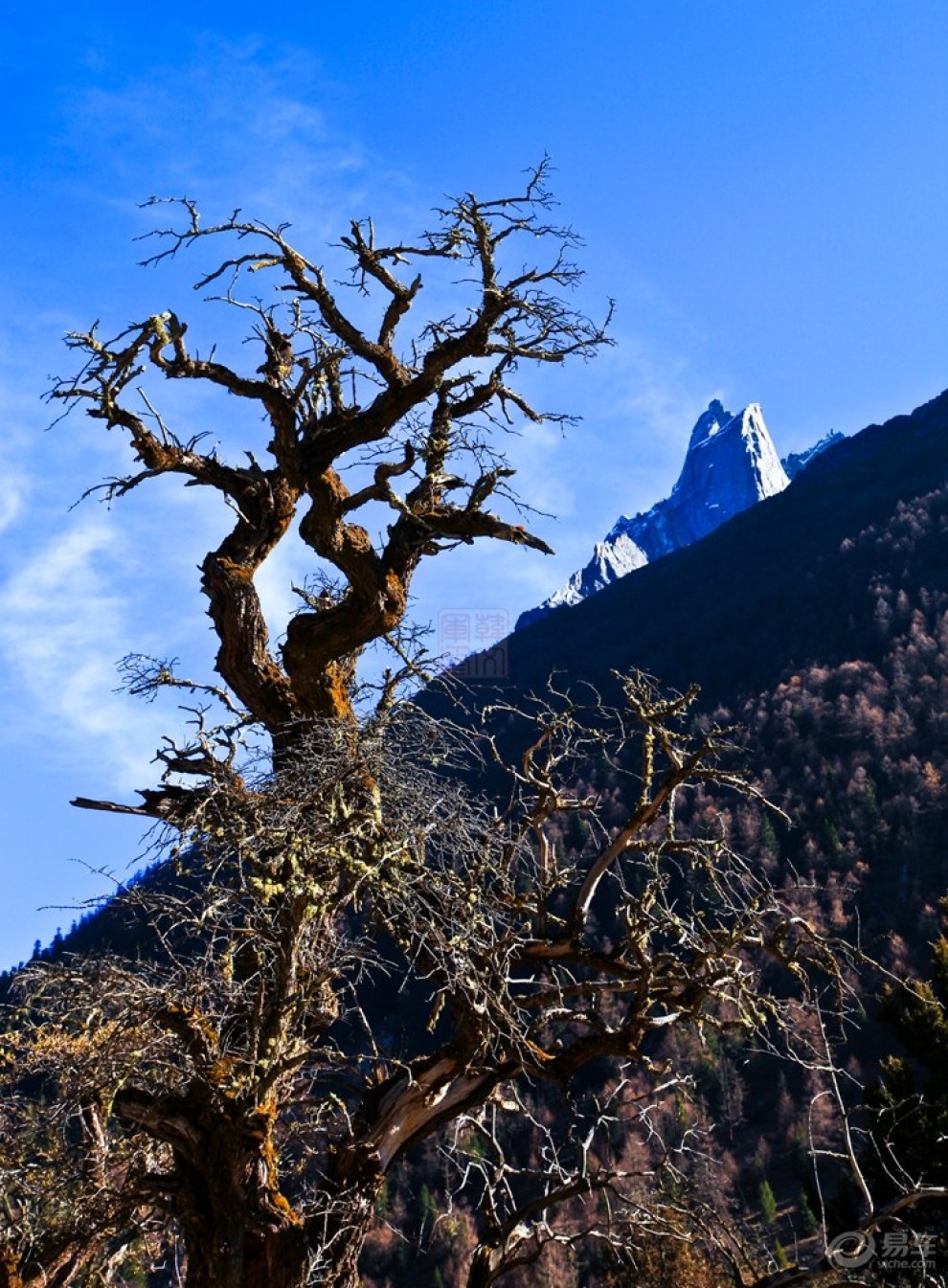 金秋川西行之十七《双桥沟五色山 盆景林 珍珠滩风光》