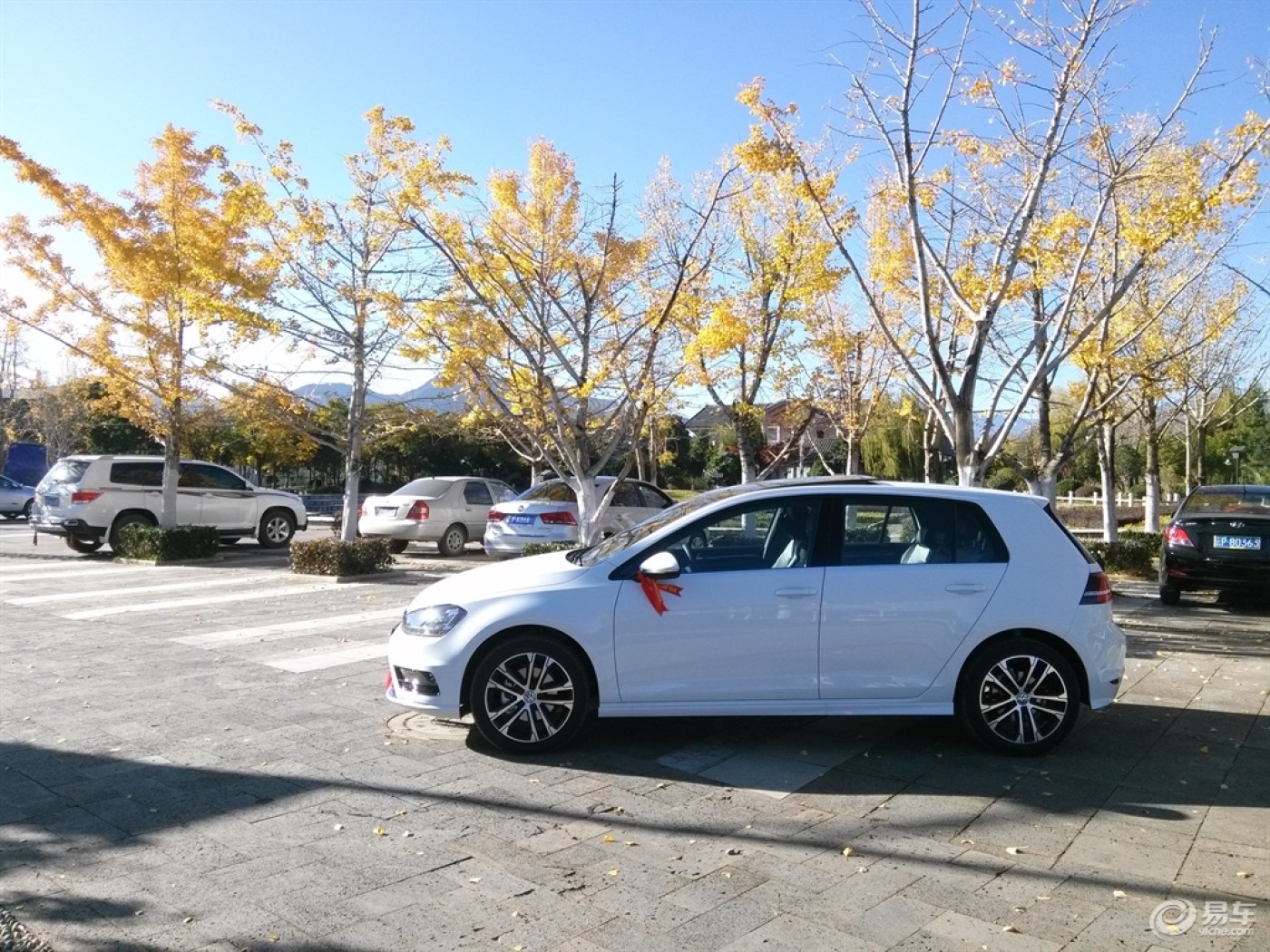 高尔夫R-Line作业,诠释情怀!多图杀猫!