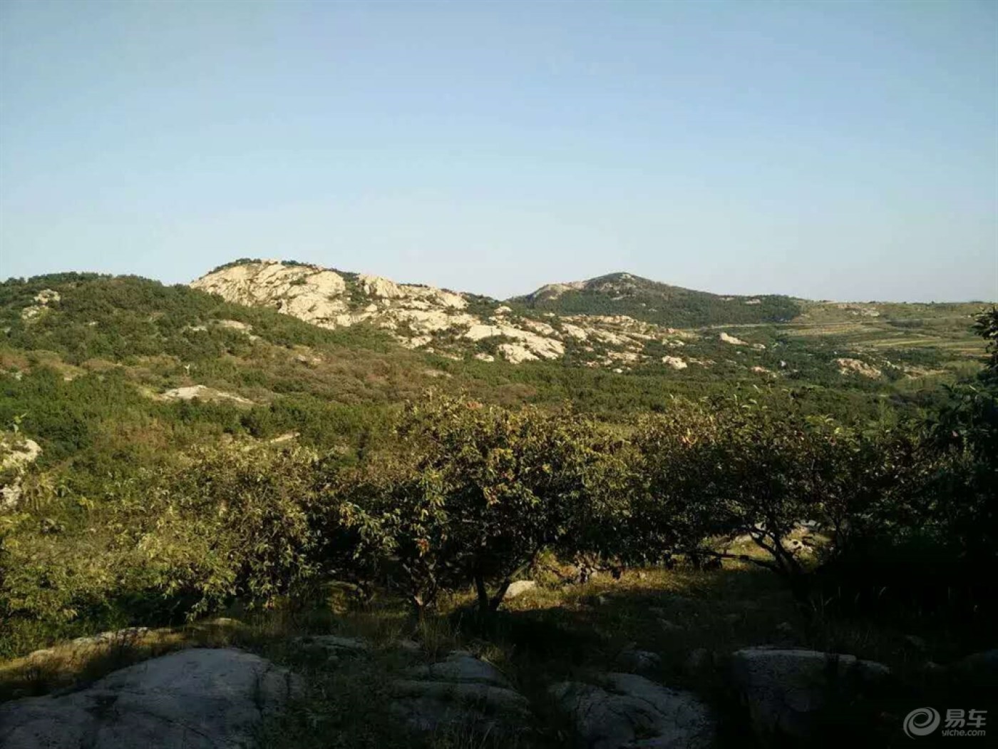 男人也是一朵花,也害怕风吹雨打-致我的爷爷